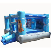 fashion inflatable bouncer